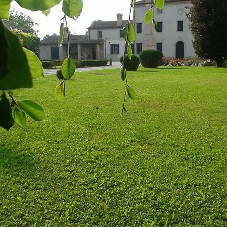 La Corte I Oca