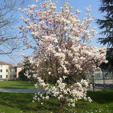 La Corte I Oca Monselice